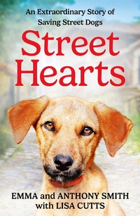 Enlarge image Cover: Street Hearts - HarperNorth