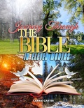 Cover: Journey Through the Bible in Eleven Months - Million Words Publishing, LLC