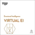 Cover: Virtual Ei - Ascent Audio