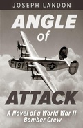 Cover: Angle of Attack - Uncommon Valor Press
