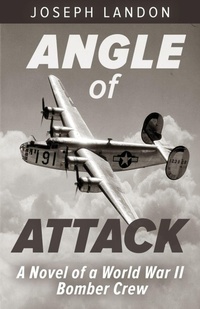 Enlarge image Cover: Angle of Attack - Uncommon Valor Press