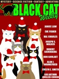Cover: Black Cat Weekly #120 - Wildside Press