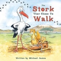 Cover: The Stork That Chose to Walk - Troubador Publishing