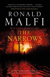 Abbildung von: The Narrows - Titan Books