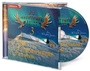 Cover: Abenteuerreise 3: Der unsichtbare Freund (H&ouml;rbuch [MP3]) - Christliche Literaturverbreitung
