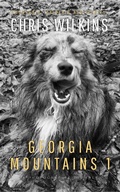 Cover: Georgia Mountains 1 - Chris Wilkins