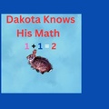 Cover: Dakota Knows His Math 1+1=2 - Linda Wright