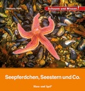 Cover: Seepferdchen, Seestern und Co. - Hase und Igel Verlag