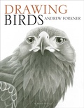 Cover: Drawing Birds - Search Press