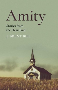 Enlarge image Cover: Amity - Roundfire Books
