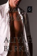 Cover: Vittano's Willow (Megalodon Team, #5) - Sensual Romance Publishing