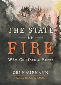 Enlarge image Cover: The State of Fire - Heyday Books