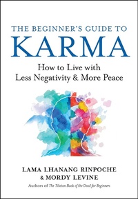 Enlarge image Cover: The Beginner's Guide to Karma - New World Library