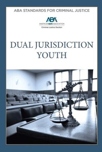Abbildung von: ABA Standards for Criminal Justice Dual Jurisdiction Youth, Fourth Edition - American Bar Association