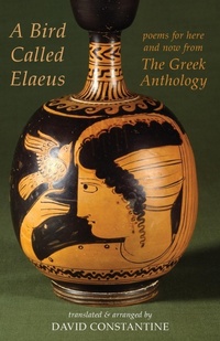 Enlarge image Cover: A Bird Called Elaeus - Bloodaxe Books Ltd