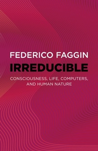 Enlarge image Cover: Irreducible - Essentia Books
