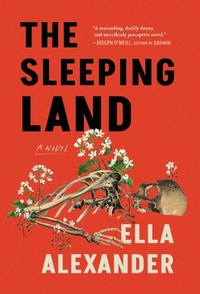 Enlarge image Cover: The Sleeping Land - Unnamed Press