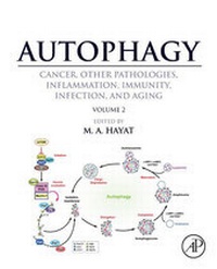 Abbildung von: Autophagy: Cancer, Other Pathologies, Inflammation, Immunity, Infection, and Aging - Academic Press