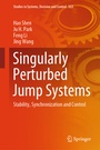 Cover: Singularly Perturbed Jump Systems - Springer