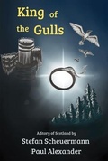 Cover: King of the Gulls - Virtualbookworm.com Publishing