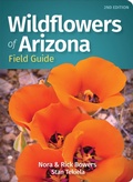 Cover: Wildflowers of Arizona Field Guide - Adventure Publications, Incorporated