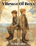 Cover: A Brace Of Boys By Fitz Hugh Ludlow - Intell Book Publishers