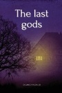 Cover: The last gods - Dylan Zinnbauer