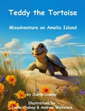 Cover: Teddy the Tortoise, Misadventure on Amelia Island - Joelle Crahay