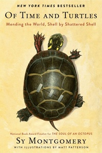 Enlarge image Cover: Of Time And Turtles - HarperCollins