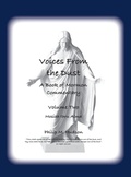 Cover: A Book of Mormon Commentary - Philip M Hudson