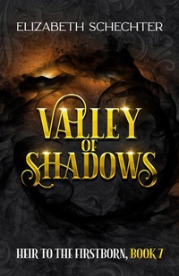 Enlarge image Cover: Valley of Shadows - Elizabeth Schechter