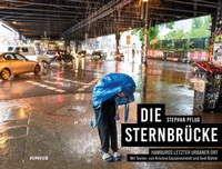 Abbildung von: Die Sternbru¨cke - Junius