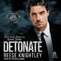 Enlarge image Cover: Detonate - Tantor Audio
