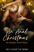 Cover: An Anal Christmas (Initiation, #3) - Rocky Rose