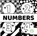Cover: Numbers - Sea Turtle