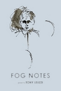 Enlarge image Cover: Fog Notes - Tiger Bark Press