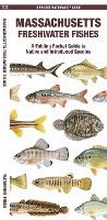 Cover: Massachusetts Freshwater Fishes - Waterford Press Ltd