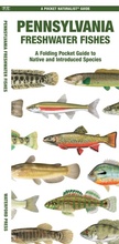 Cover: Pennsylvania Freshwater Fishes - Waterford Press Ltd