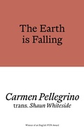 Cover: The Earth is Falling - Prototype Publishing Ltd.