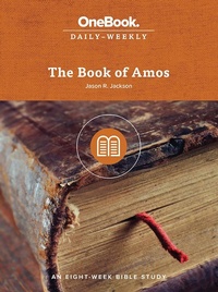 Enlarge image Cover: The Book of Amos - Seedbed Inc