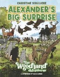 Cover: Alexander's Big Surprise - Christine Soulliere