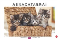 Bild vergrößern Bild: Whiskas Katzenkalender 2025 - Heye