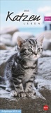 Bild: Whiskas Katzenleben Kalender 2025 - Heye