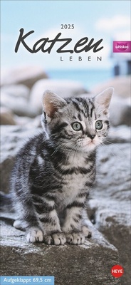 Bild vergrößern Bild: Whiskas Katzenleben Kalender 2025 - Heye