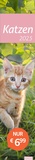 Bild: Katzen Langplaner 2025 - Heye
