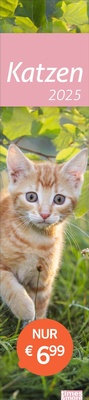 Bild vergrößern Bild: Katzen Langplaner 2025 - Heye