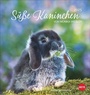 Cover: Süße Kaninchen Postkartenkalender 2025 - Heye