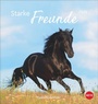 Cover: Pferde Postkartenkalender 2025 - Starke Freunde - Heye