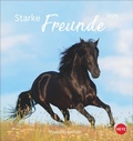 Cover: Pferde Postkartenkalender 2025 - Starke Freunde - Heye