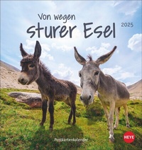 Abbildung von: Esel Postkartenkalender 2025 - Von wegen sturer Esel - Heye
